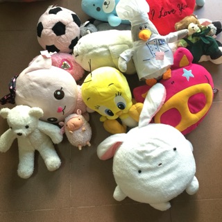 Gấu mai thi thuy tinh