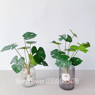 Câu giả - cây lá rùa giả cao 40cm Decor Siêu Xinh