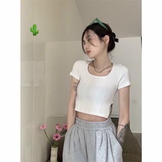 Áo thun tay ngắn cổ V đơn giản chất cotton đẹp co dãn HÌNH THẬT