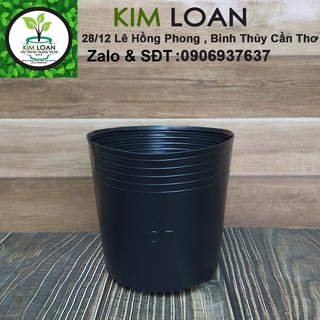 Combo 50 chậu mềm C7 16x14cm