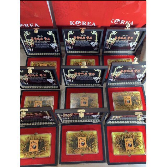 ĐÔNG TRÙNG HẠ THẢO NGUYÊN CON HÀN QUỐC HỘP GỖ - HÀNG CAO CẤP