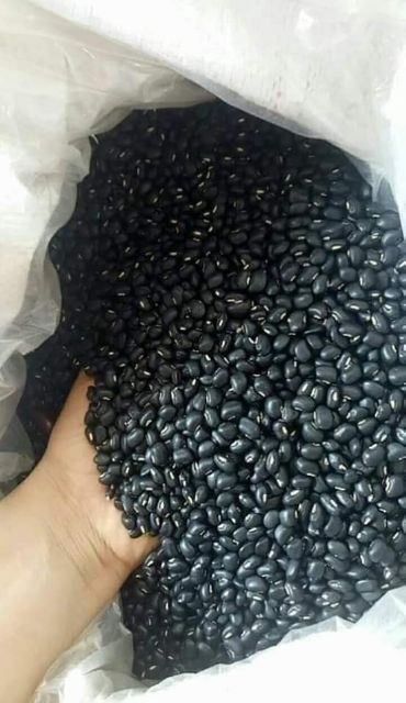 Đậu đen xanh lòng 1kg _đậu quê Huế