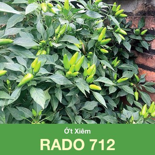 Hạt Giống Ớt Xiêm 30 Hạt