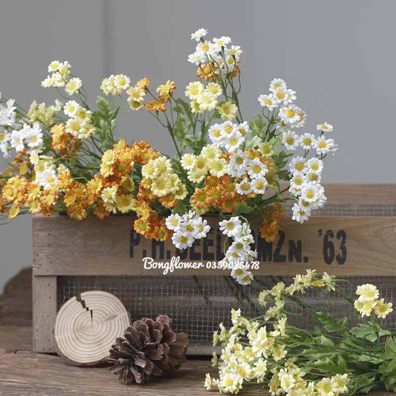 Cúc tanna giả trang trí nhà cửa decor siêu xinh giống thật 99%