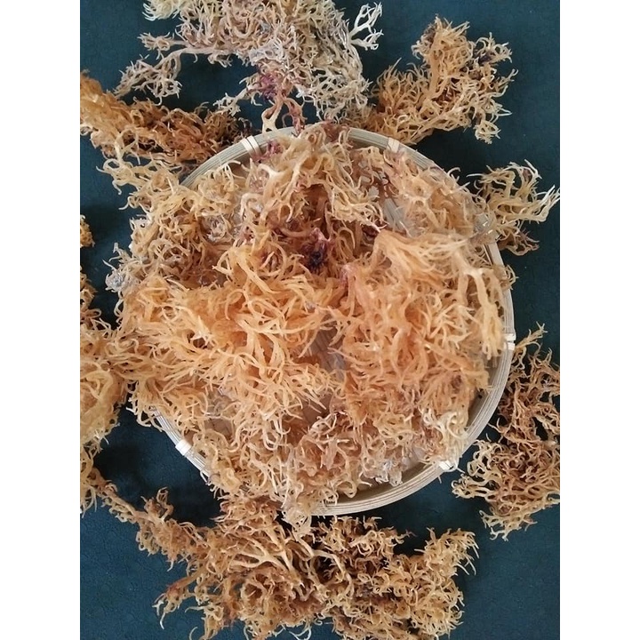 RONG SỤN SỨ NINH THUẬN - RONG CAU - SEAMOSS SUN DRIED RAW - KHÔ TỰ NHIÊN KHÔNG MUỐI - 300GR