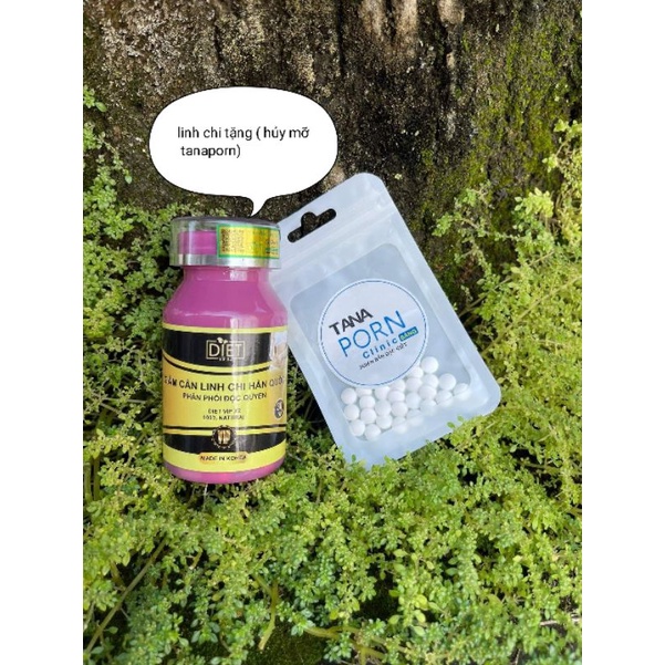 Giảm cân Linh chi Hàn Quốc ( tặng detox Tanaporn)