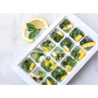 Hạt Giống Húng Lũi Bạc Hà Âu Choco Mint