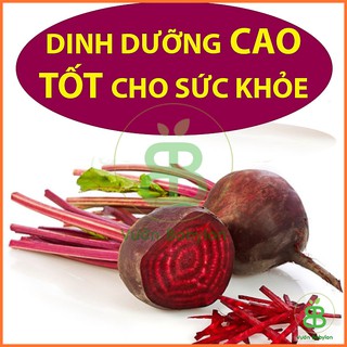 Hạt Giống Củ Dền Đỏ 5Gr Bổ Máu