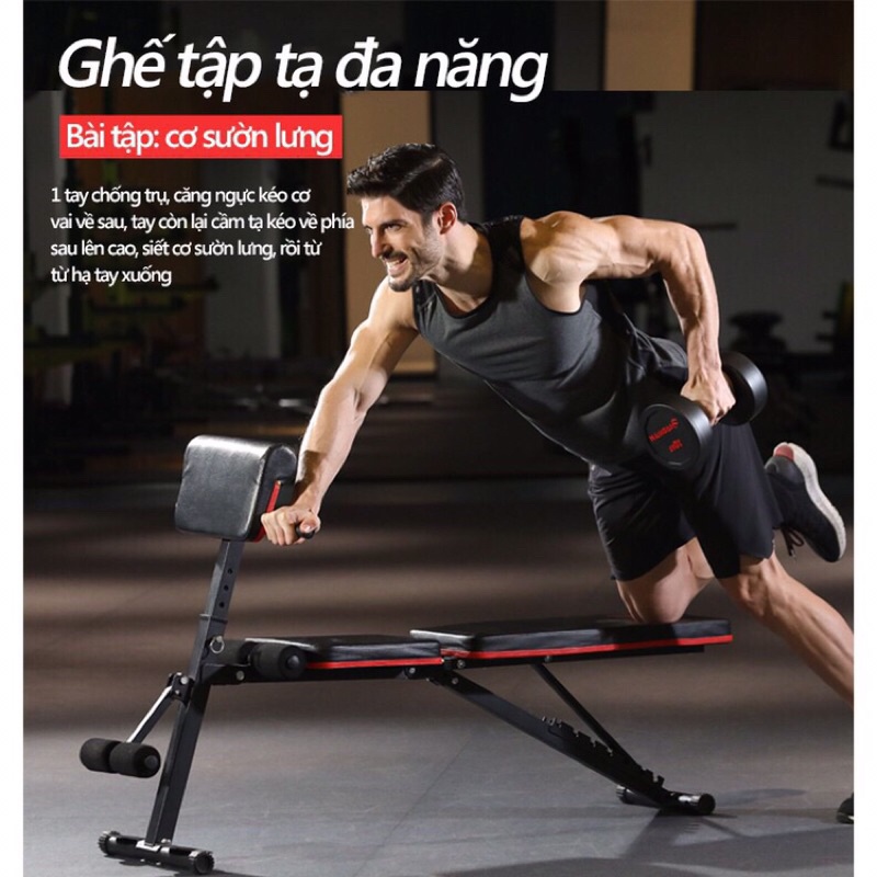 Ghế Tập Gym, Tập Tạ Đa Năng Hỗ Trợ Tập Cơ Tay, Bắp Tay, Cơ Bụng P189 Bảo Hành 12 Tháng