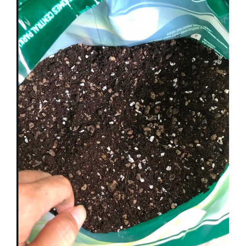 6 kg Đất trồng Giá thể xương rồng và sen đá Soil mix