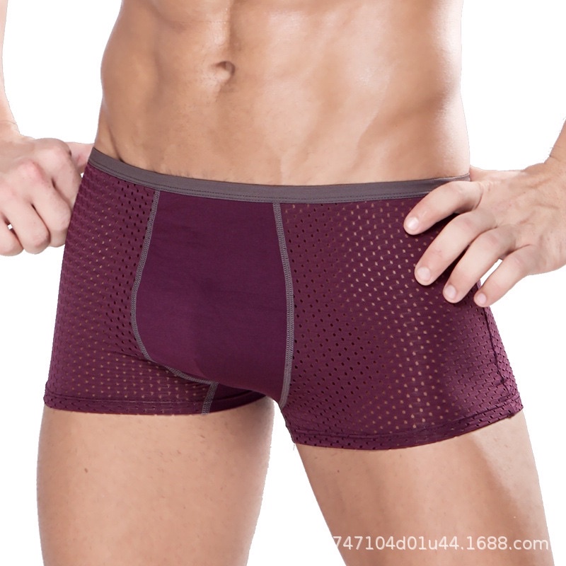 Hộp 4 quần sịp đùi HM trắng men cao cấp