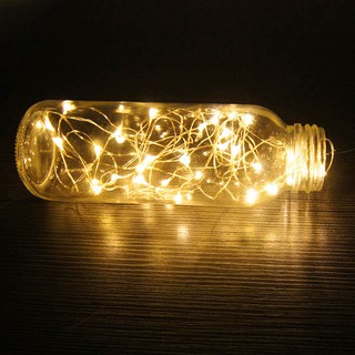 Dây đèn LED dây đồng HST 1M