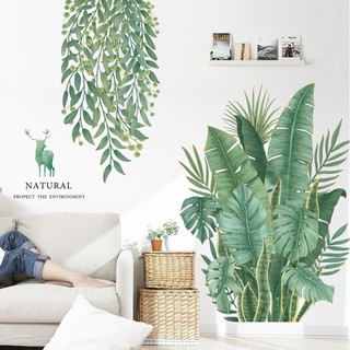 Decal Tranh Dán Tường Hàn Quốc Không Gian Xanh - vườn lá nhiệt đới B1012