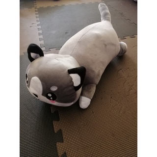 Gối ôm cho bé, gối ôm hình thú mèo husky - gấu bông mèo mắt tròn size 50cm - ảnh sản phẩm 6