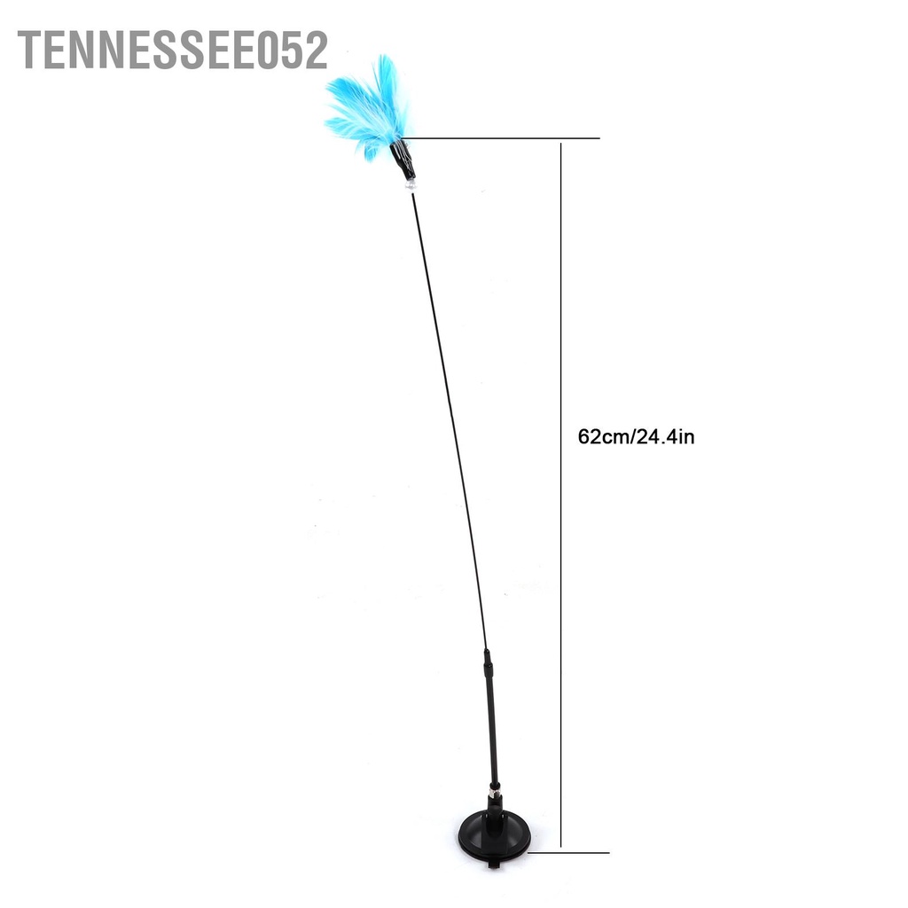 Tennessee052 Tách hút lông vũ mèo tương tác Gậy chọc ghẹo có chuông để con trong nhà tập thể dục cho già