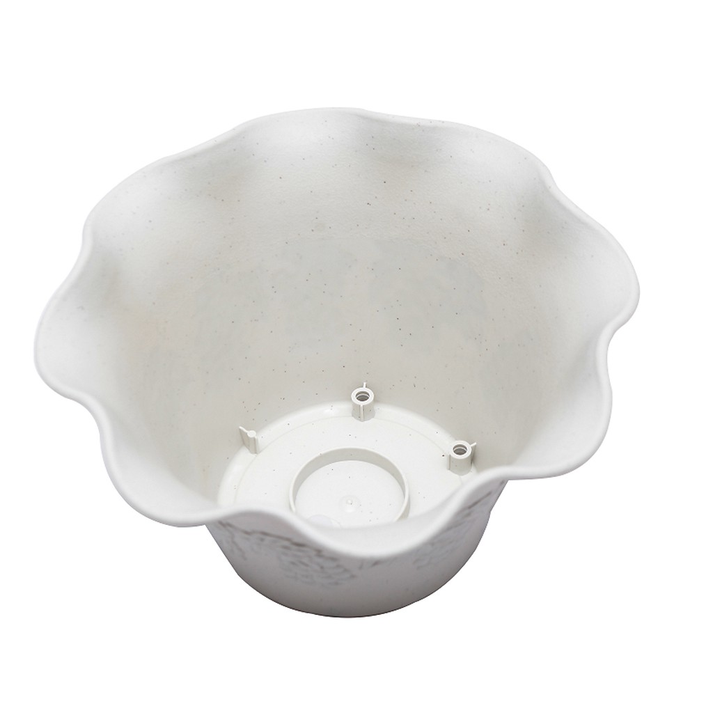 Chậu cây viola trắng dài 223mm - Nội địa Nhật Bản
