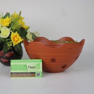 Chậu nhựa trồng lan phi 20cm - CN25