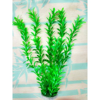 [Giao Mẫu Ngẫu Nhiên] Bộ 3 Cây Rong Dài Màu Xanh Trang Trí Bể Cá Cảnh, Cây Nhựa Cao
