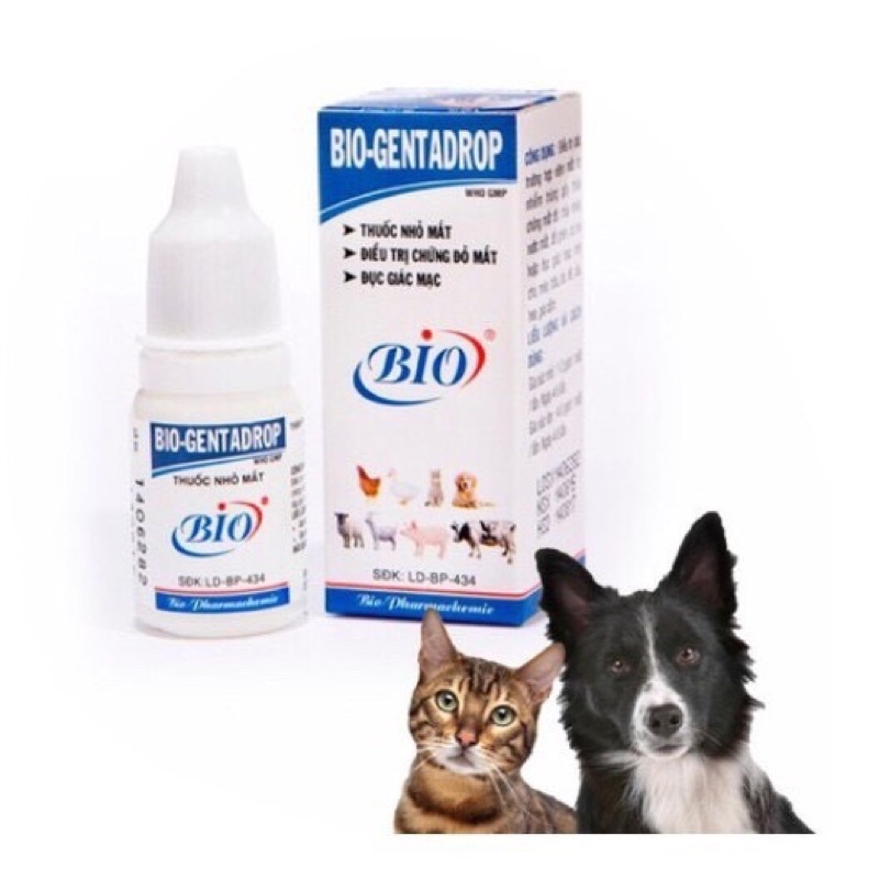 Thuốc nhỏ mắt cho chó mèo - Bio Gentadrop 10ml