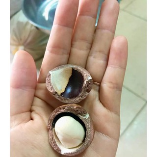 Macca sấy nứt hạt