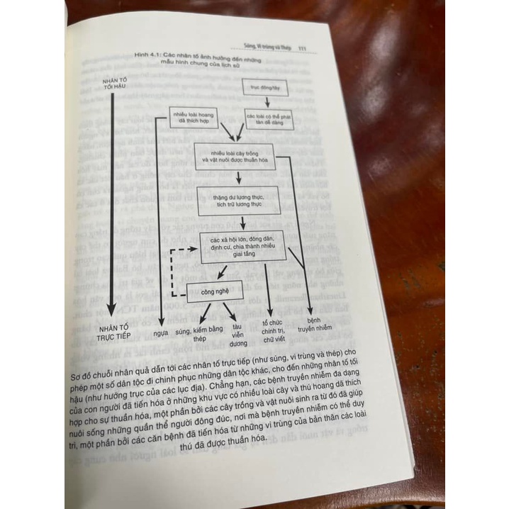 Sách - Súng, Vi Trùng Và Thép - Jared Diamond - Bình Book - Bìa Mềm