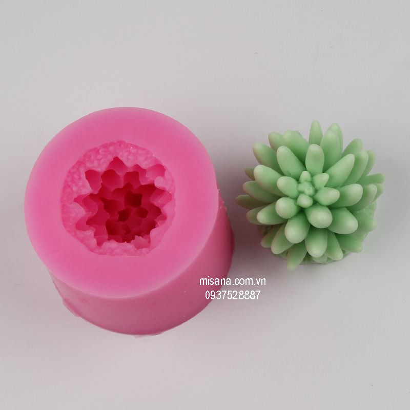 Khuôn silicon hình hoa sen đá 2