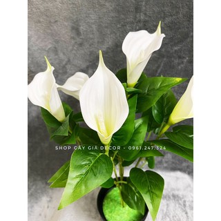 hoa rum 35cm - hoa giả