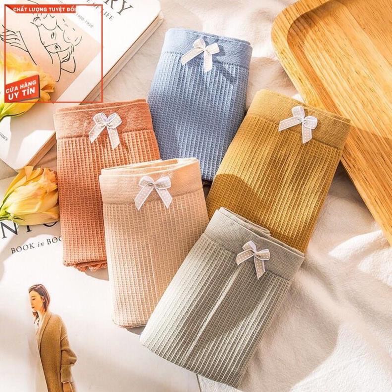 Quần lót nữ Cotton Thông Hơi Co Giãn 4 Chiều Sợi Bông Viền Ren Kháng Khuẩn Mùa Hè QL3312