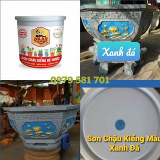 Sơn chậu kiểng màu xanh đá hệ nước lon 1kg & tặng cọ