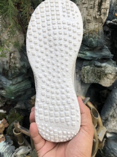 Giày Skechers chính hãng ( đã bán hết )