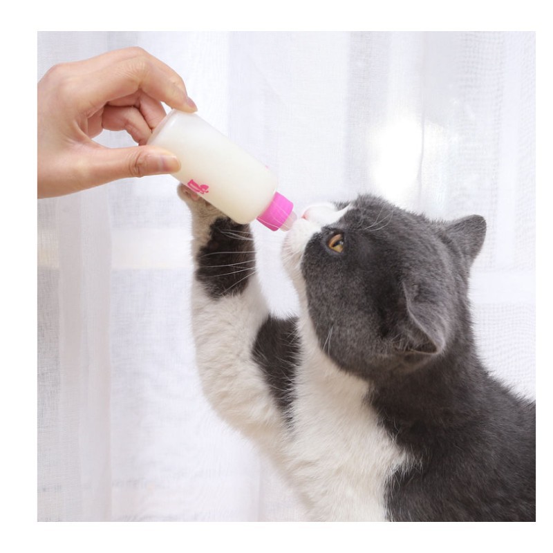 Bộ bình sữa cho chó con mèo con thú cưng 2 size 60ml và 150ml - Bivido