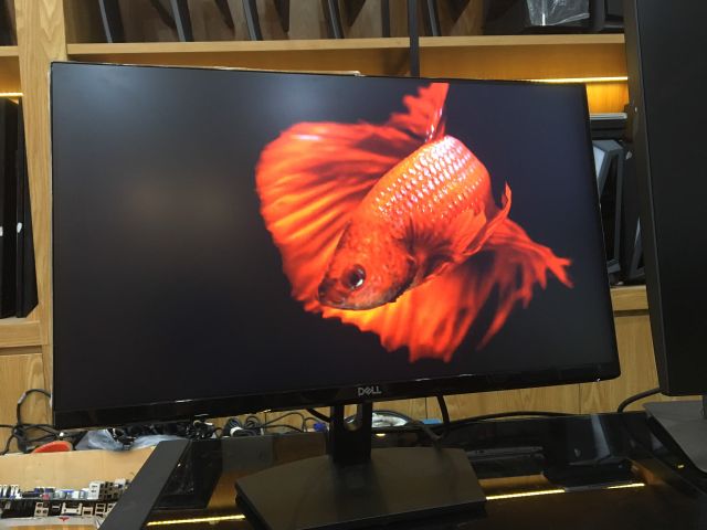 MÀN HÌNH DELL SE2419 DATE 2019 IPS FULL VIỀN LED FULL HD | BigBuy360 - bigbuy360.vn