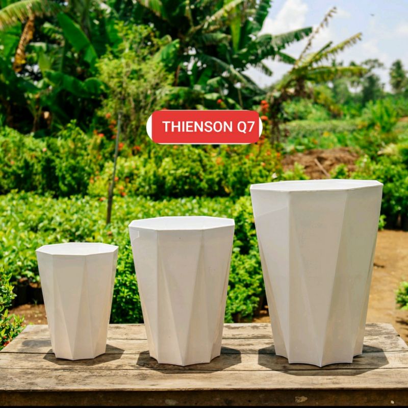 Chậu Nhựa Kim Cương 41*33Cm Xịn & Dày 8 Cạnh Trồng Cây