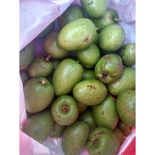 Trái Bình Bát Xanh Non 2kg OhKHON