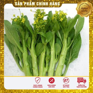 Hạt Giống Rau Cải Ngồng(20gr)