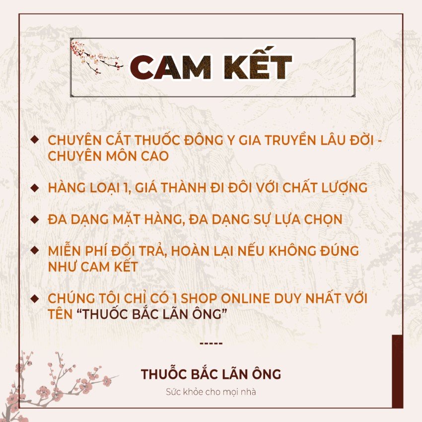 Gói sâm hầm gà Hàn Quốc (Nguyên liệu nấu ăn, thơm ngon bổ dưỡng) - Thuốc Bắc Lãn Ông