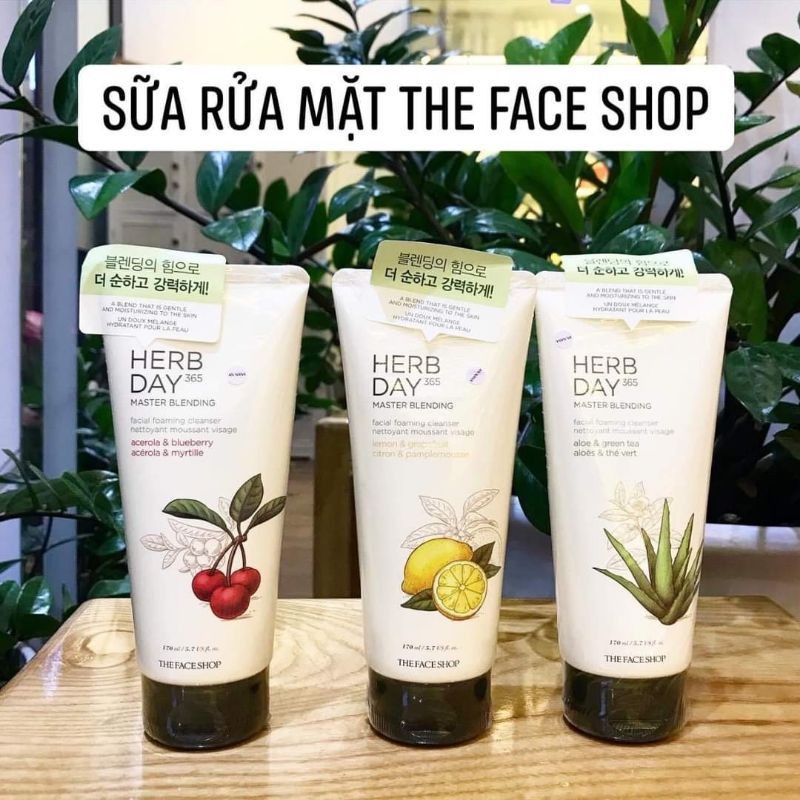 Sữa Rửa Mặt The Face Shop Herb Day 365 Cleansing Foam _rubystore