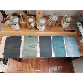 Sơn lau màu Gel Stain.