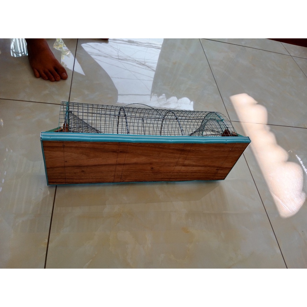 Bẫy chuột thông minh 2 cửa - thế hệ mới