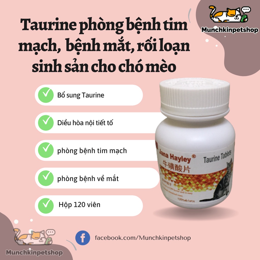 Taurine cho chó mèo, hạn chế bệnh về mắt và tim mạch, sinh sản muộn ở chó mèo