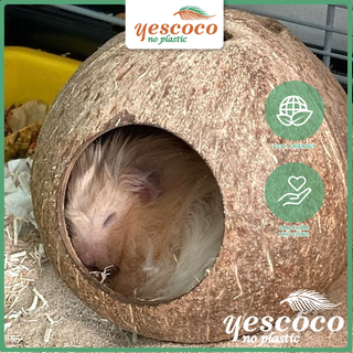 Hang Hamster tròn bằng gáo dừa |Xưởng gáo Yescoco