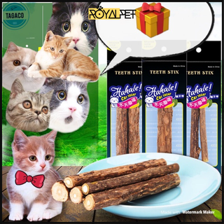 ❌❌(A009)SET 5 QUE GỖ CATNIP BẠC HÀ CHO MÈO⭕️⭕️