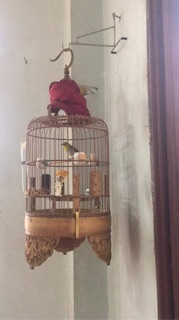 Móc treo lồng khuyên