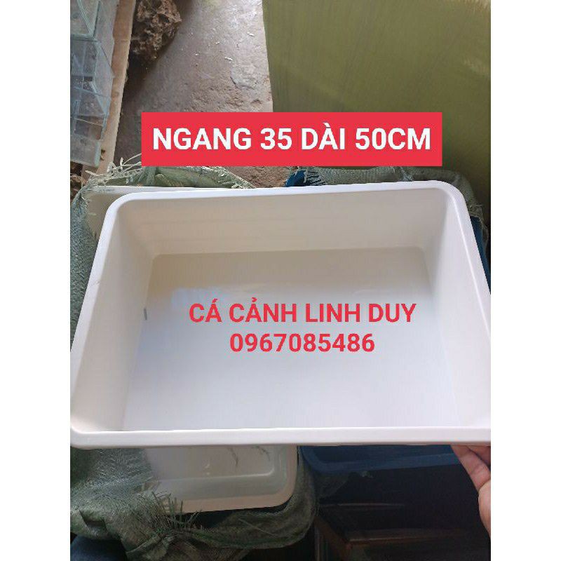 [Mã 1511FMCGSALE giảm 8% đơn 500K] khay nhựa nuôi cá ,trồng rau 35x50cm