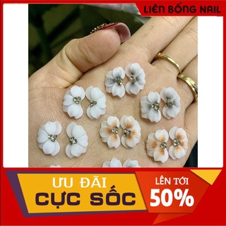 Hoa cúc nhọn - Hoa bột nail