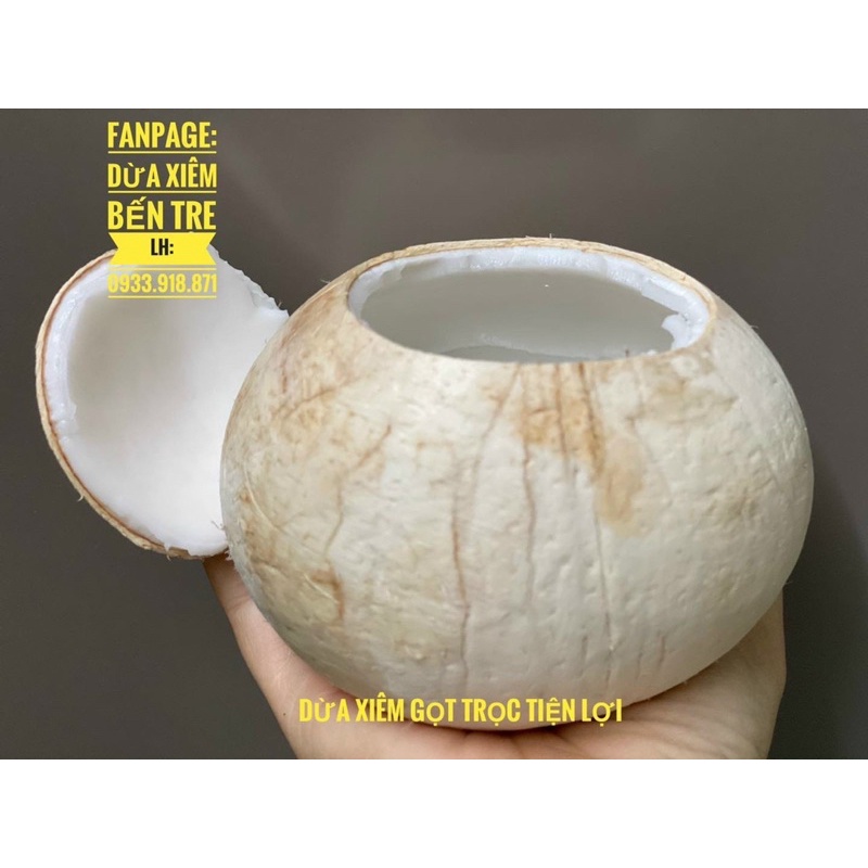 Dừa Xiêm Bến Tre