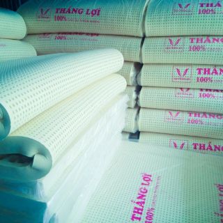 Nệm cao su thiên nhiên SiSi Thắng lợi