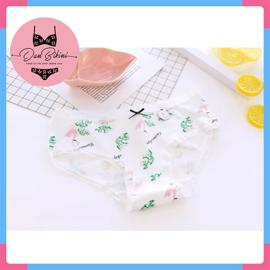 Quần lót Nữ - Quần Lót Nữ Nữ Cotton Flamingo màu sắc tươi mới trẻ trung DAN STORE MÃ C087