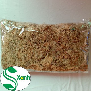DỚN TRẮNG TRỒNG LAN 100gr