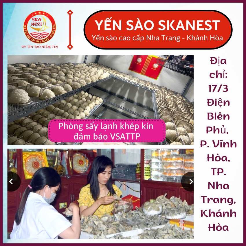 50gr Yến Sào Tinh Chế Sợi Sơ Mướp Tặng táo đỏ, đường phèn, hạt chia - Yến Vụn miếng lớn làm sạch